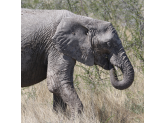 Northern Namibia