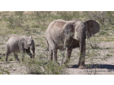 Northern Namibia