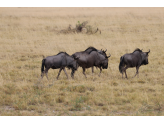 Northern Namibia