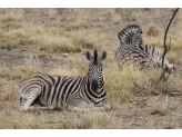 Northern Namibia