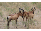 Northern Namibia