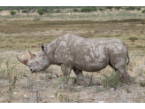 Northern Namibia