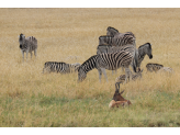 Northern Namibia