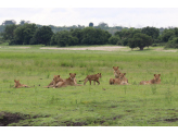 Botswana