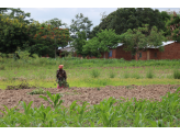 Malawi