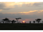 Serengeti