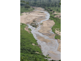 Tarangire & Ngorogoro