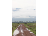 Tarangire & Ngorogoro