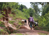 Southern Uganda