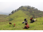 Southern Uganda