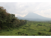 DR Congo (Gorillas & Volcano)