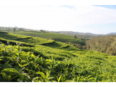 Burundi