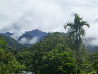 Borneo