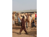 Somaliland