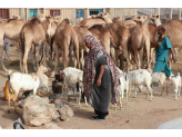 Somaliland