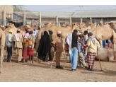 Somaliland