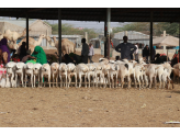 Somaliland