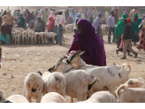 Somaliland