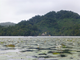 Guatemala 2016