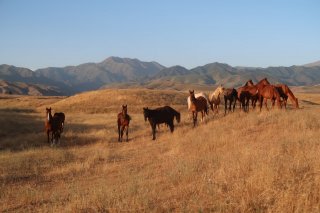 Kazakhstan