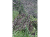 Santo Antao & Sao Vicente