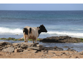 Santiago - Cabo Verde