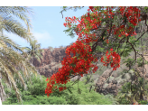 Santiago - Cabo Verde