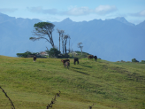 New Zealand - South Island