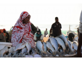 Mauritania