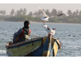 Senegal