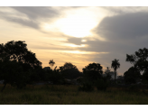 Gambia