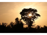 Gambia