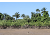 Guinea-Bissau