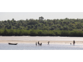 Guinea-Bissau