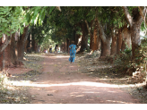 Guinea-Bissau