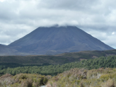 New Zealand - North Island