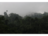 Sao Tome