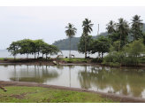 Sao Tome