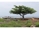 Sao Tome