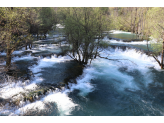 Bosnia