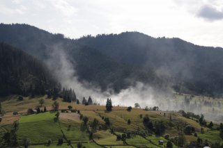 Bucovina