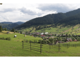 Bucovina