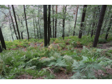 Bohemian Switzerland