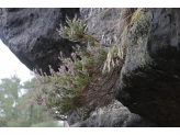 Bohemian Switzerland