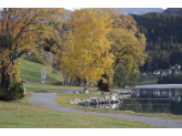 Eastern Switzerland