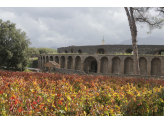 Pompei & Amalfi