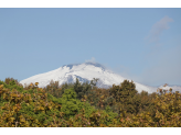 Sicilia South