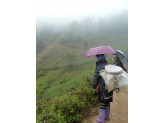 Sapa ricefields in norhern Vietnam