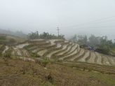 Sapa ricefields in norhern Vietnam