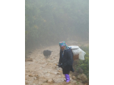 Sapa ricefields in norhern Vietnam